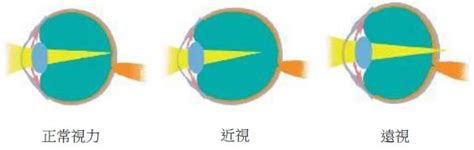 无尽云影院云影院在线观看电视剧